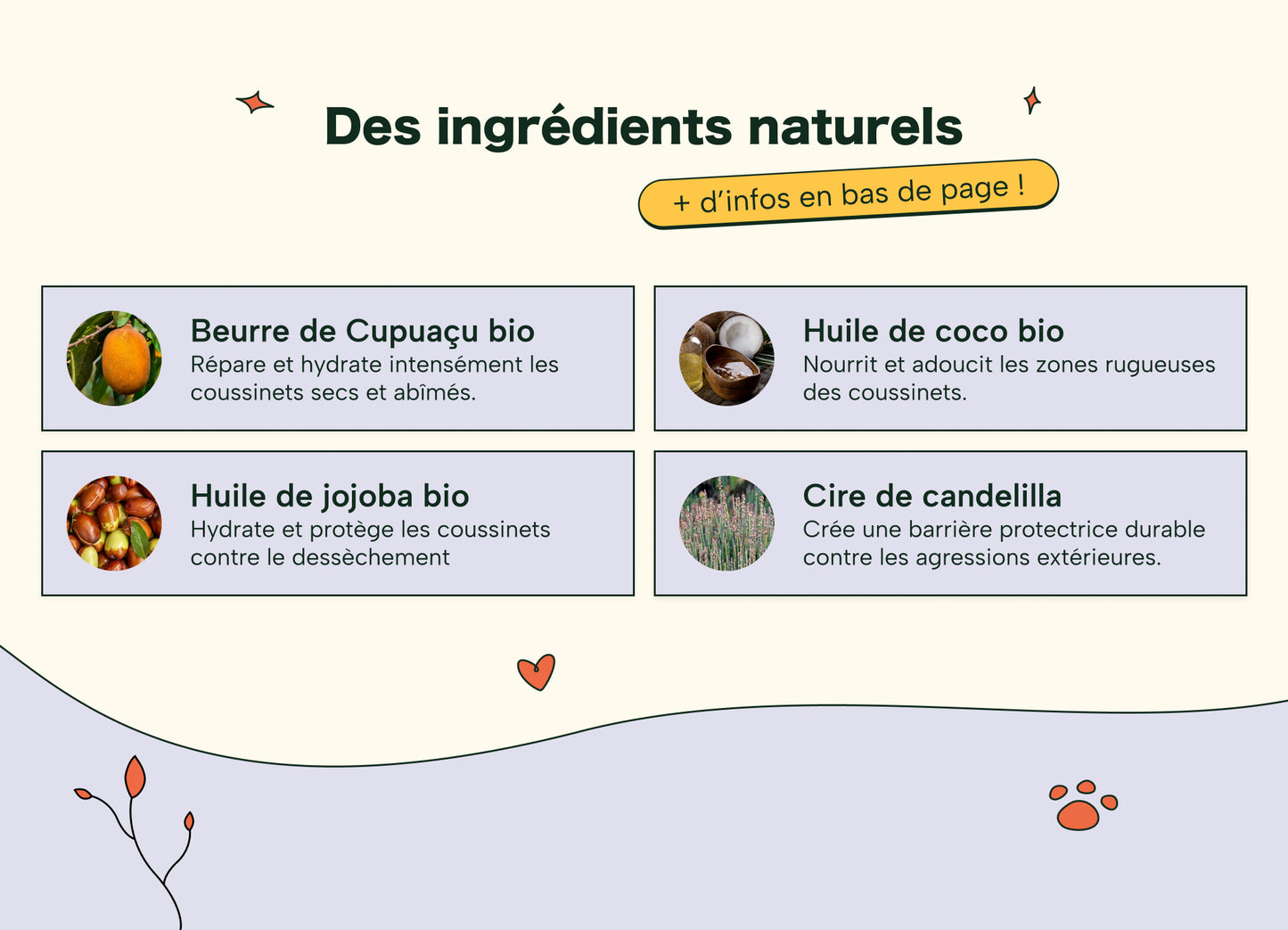 Baume Protecteur et Réparateur