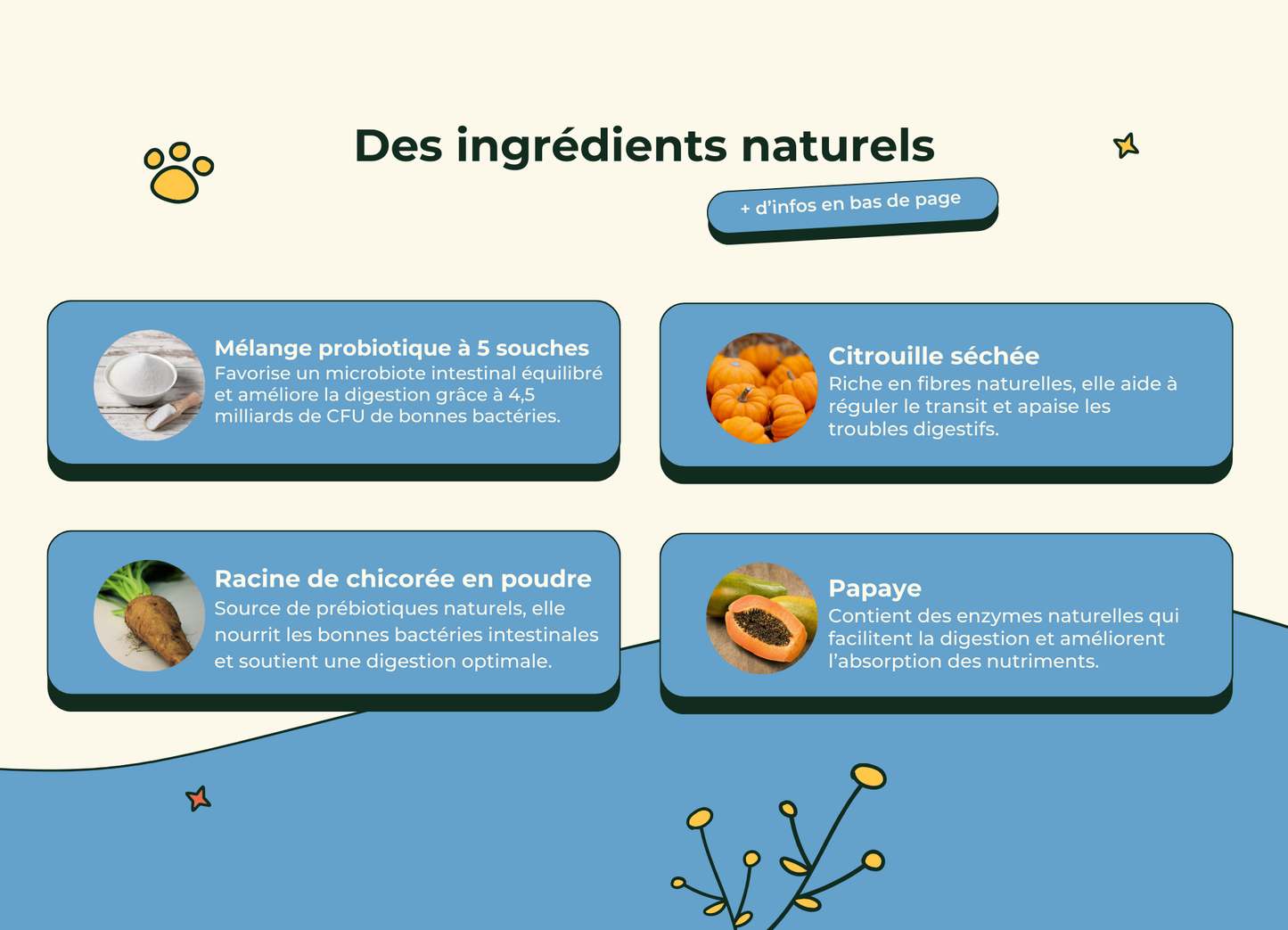 Friandises Naturelles Santé Intestinale