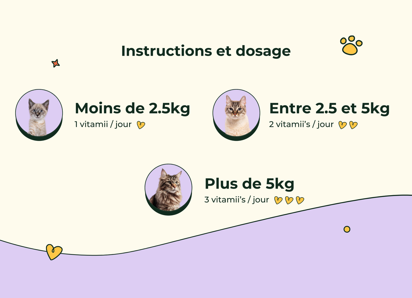 Friandises Naturelles Articulation Chat