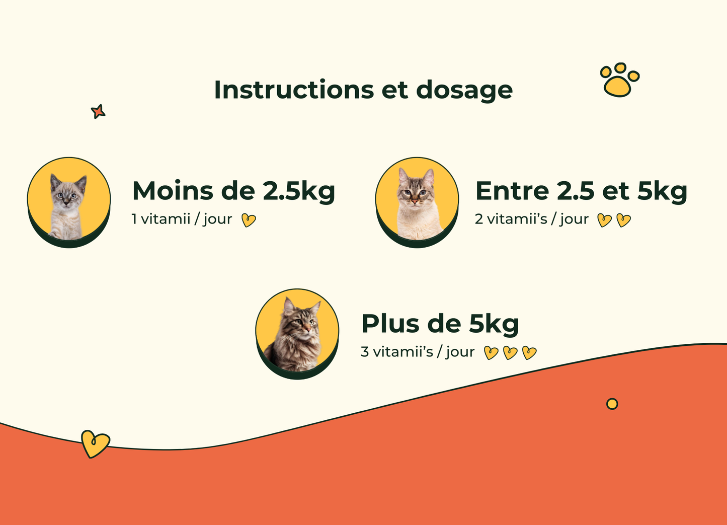 Friandises Naturelles Multivitamii's Chat