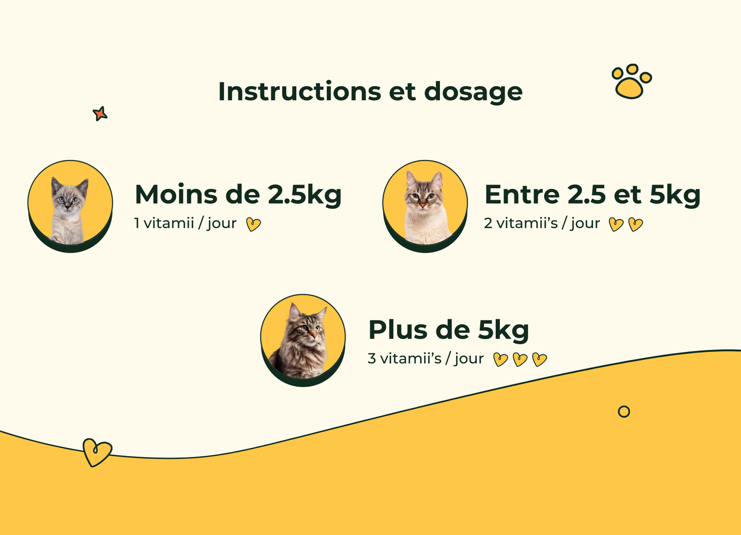 Friandises Naturelles Système Urinaire Chat