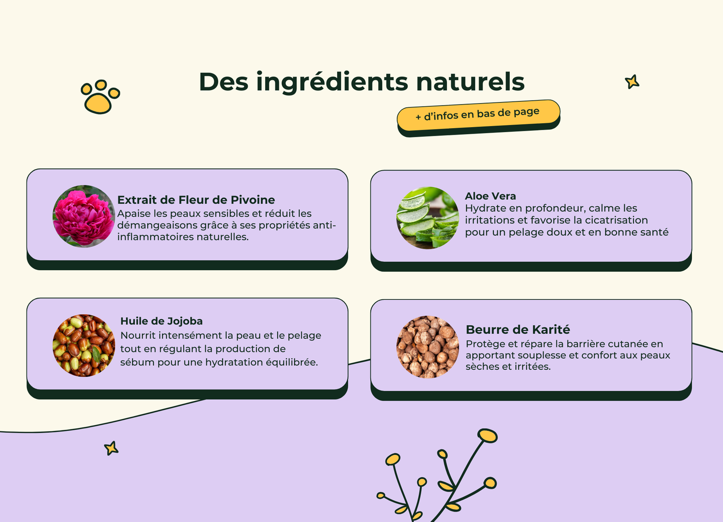 Shampoing réparateur & Anti démangeaisons