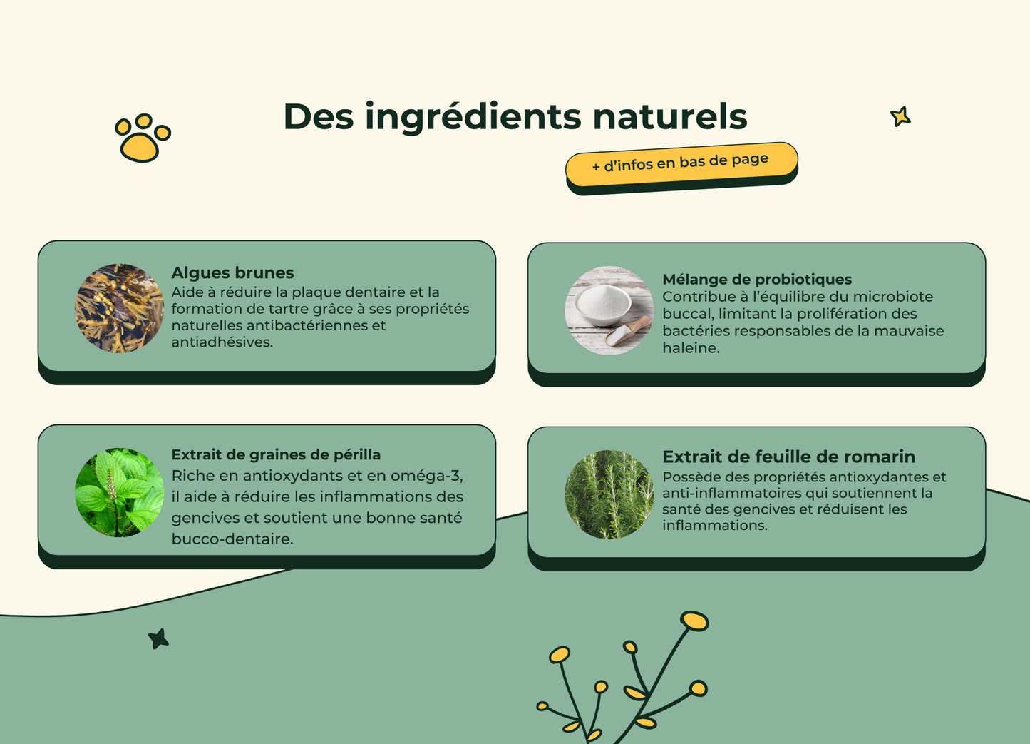 Poudre Dentaire Hygiène, Dents & Haleine