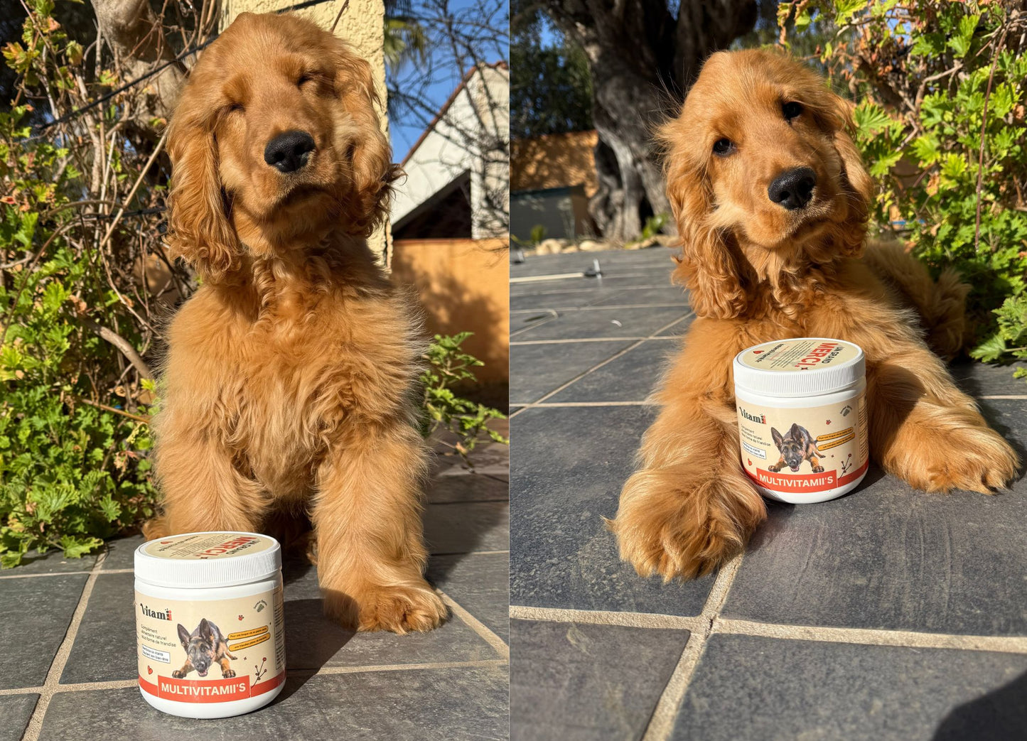 Friandises Naturelles Multivitamii's